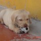 max d cazhorro jugando cn zu primera pelota!